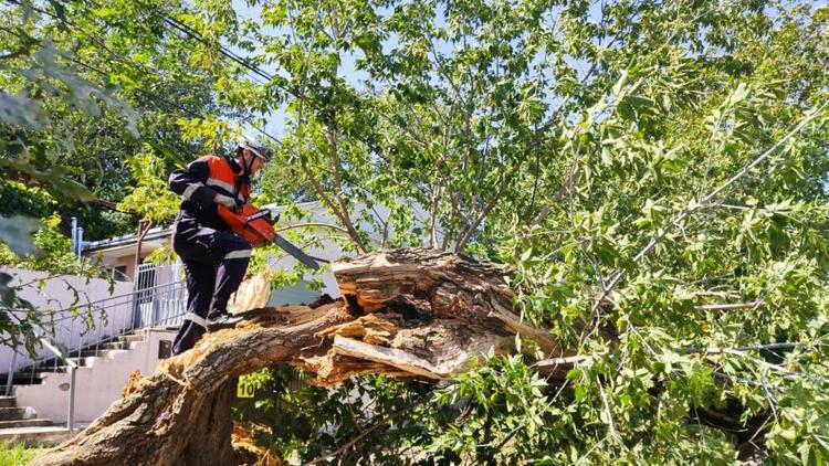 В Ставрополе прогнозируют усиление восточного ветра