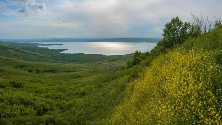 В природном заказнике Ставрополя поймали рыболовов-браконьеров