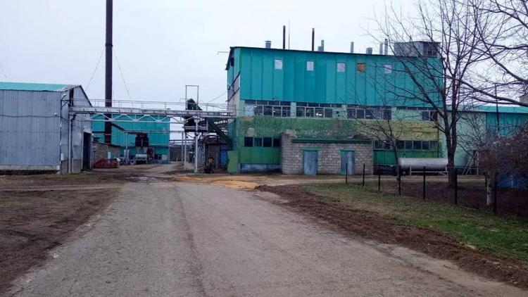 После длительного простоя на Ставрополье заработал Светлоградский маслозавод