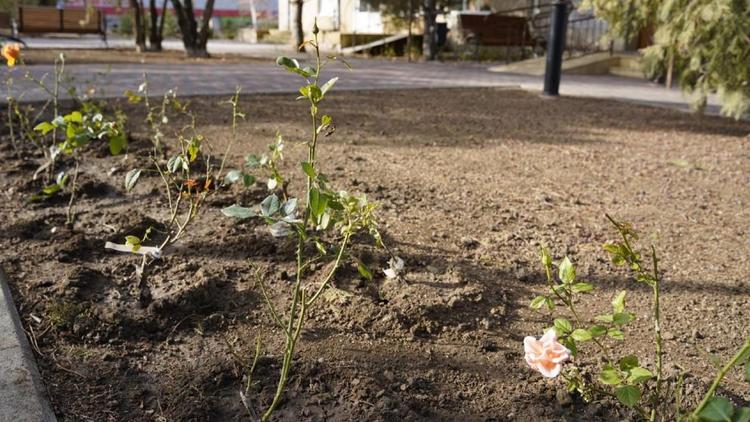 В селе Арзгир завершился первый этап благоустройства нового сквера