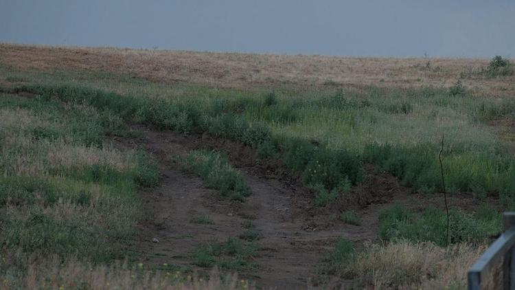 В Светлограде на месте бывшей свалки появится лесопарковая зона