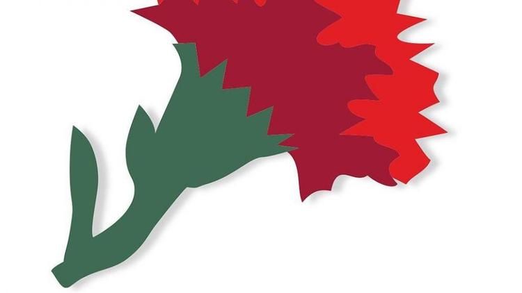 На Ставрополье проходит всероссийская благотворительная акция «Красная гвоздика»