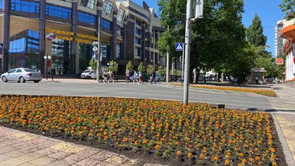 В Ставрополе в этом году благоустроят новые общественные территории