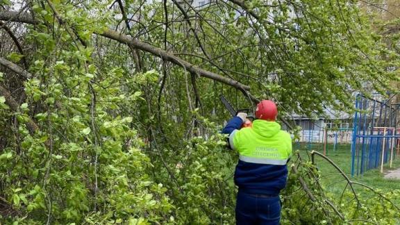 В Ставрополе устраняют последствия шквалистого ветра