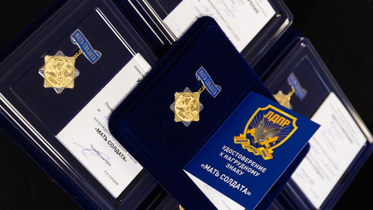 В Госдуме на расширенном заседании фракции ЛДПР говорили о защите матерей