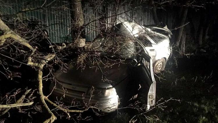 В станице Суворовской водитель с признаками опьянения въехал в дерево