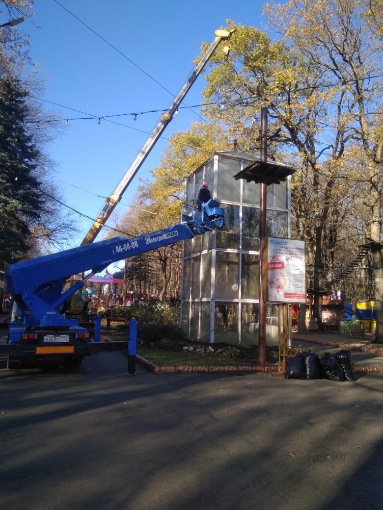 В парке Победы в Ставрополе укрыли от заморозков пальму | Ставропольская  правда