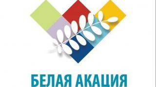Программа V Международного форума творческих союзов «Белая акация»
