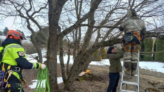 В Ставрополе прошло заседание краевого клуба по арбористике