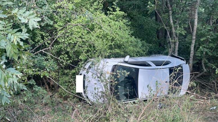 Легковушка врезалась в дерево в Шпаковском округе Ставрополья