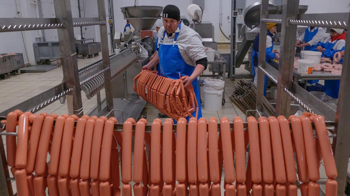 Новоалександровский мясокомбинат взял курс на импортозамещение |  Ставропольская правда