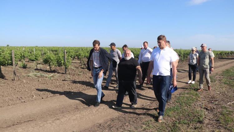 Готовность к уборке озимой пшеницы обсудили в Благодарненском округе