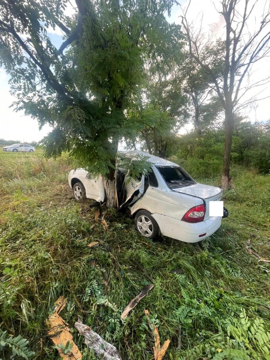 Начинающий водитель врезался в дерево в Грачёвском округе Ставрополья |  Ставропольская правда