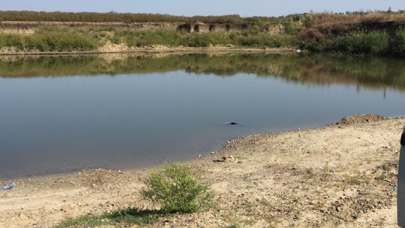 Спасатели достали из водоема тело 30-летней женщины в Новоалександровском районе