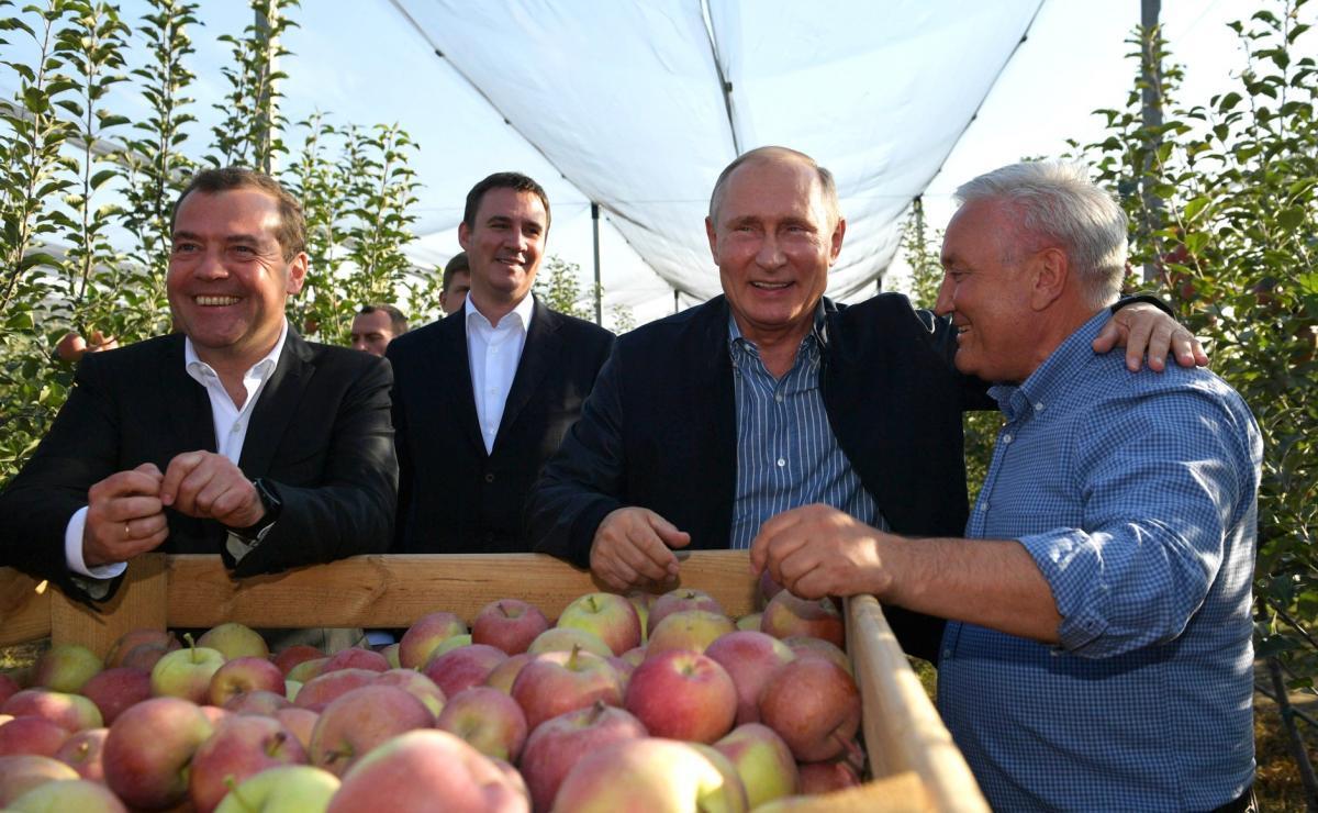 Президенту Путину подарили саженцы для Подмосковья | Ставропольская правда