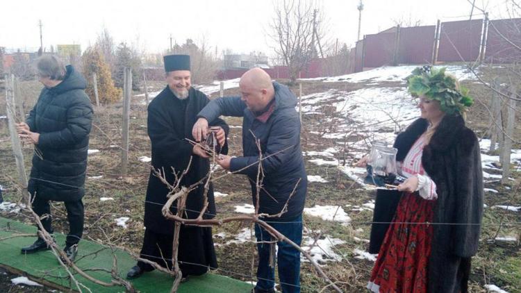 Праздник виноградарей