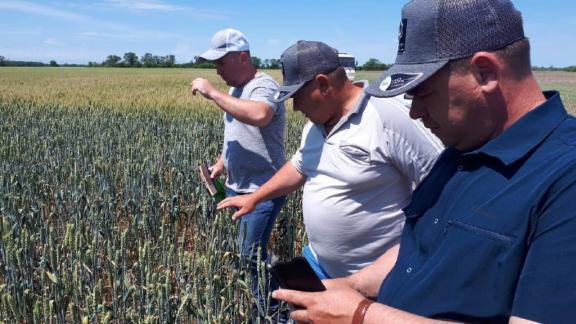 В Кировском округе Ставрополья внедрили «нулевое» земледелие