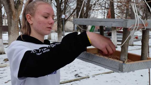 В селе Кочубеевском молодежь провела акцию «Каждой пичужке – по кормушке»