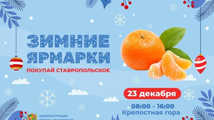 Более 250 тысяч покупателей собрали ярмарки в Ставрополе в 2023 году