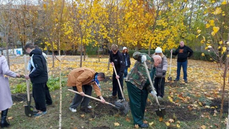 В луганском Антраците высадили 352 ставропольских дерева