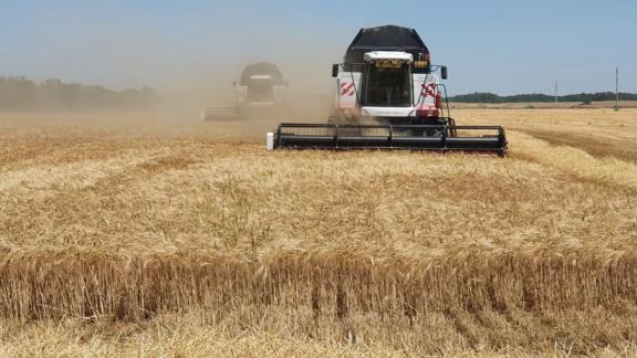 Аграрии Шпаковского округа собрали более 233 тысяч тонн зерновых