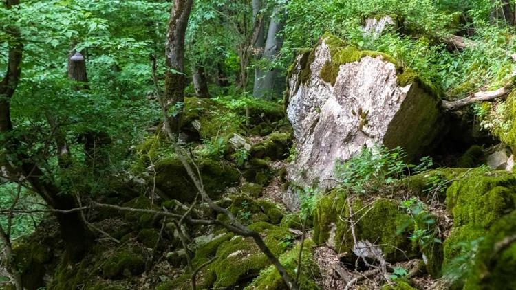 Экотропа в заказнике «Стрижамент» закрыта до весны