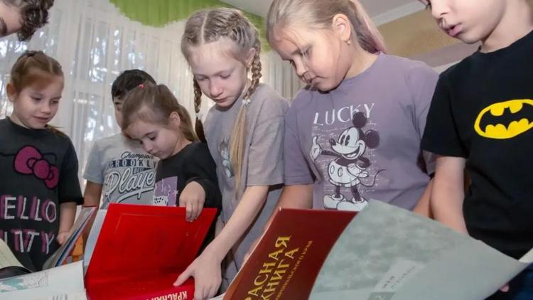 В Ставропольском крае подвели итоги эколого‑просветительской работы за 2025 год