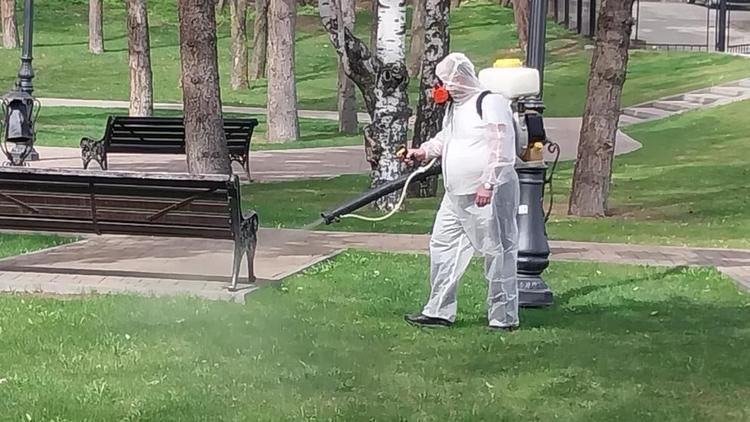 Более трёх тонн спецраствора распылят в зелёных зонах Кисловодска 
