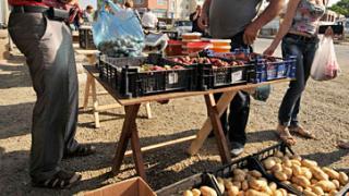 На ярмарках в Ставрополе и Пятигорске было представлено продукции на 2,5 млн рублей