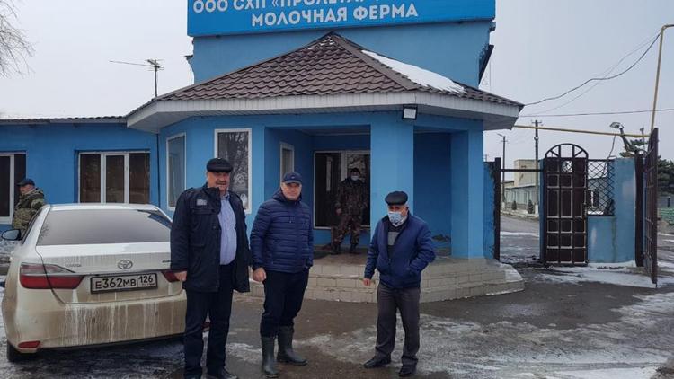 Ферма в Предгорном районе Ставрополья выпустила продукцию на 300 млн рублей