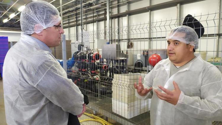 На Ставрополье агроном из Эквадора выращивает тепличные томаты