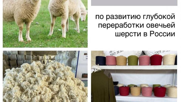 Cтаврополье будет включено в «дорожную карту» России по глубокой переработке шерсти