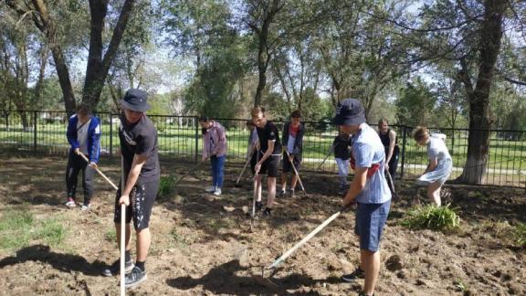 В Степновском округе во время каникул трудоустроено более 60 школьников