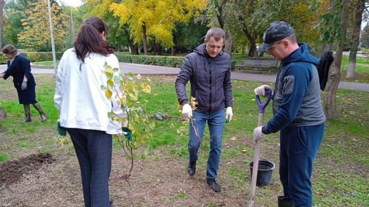 Парк и двор школы озеленили в Зеленокумске на Ставрополье