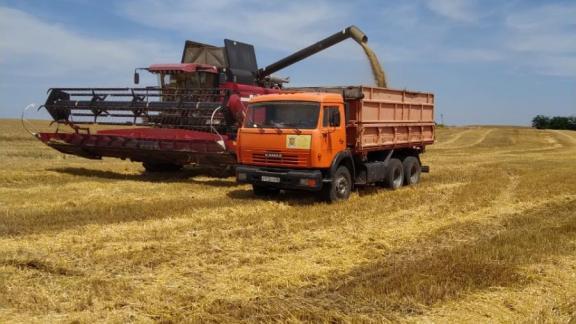 На Ставрополье в жатве хлебов задействуют около семи тысяч единиц техники