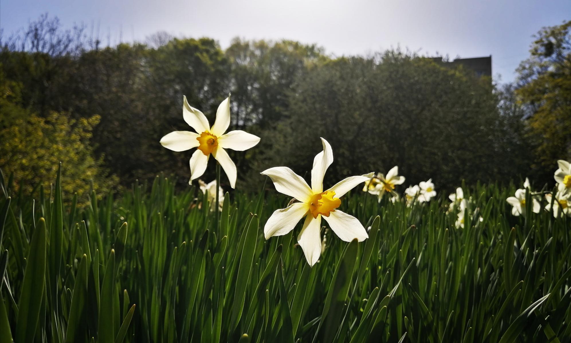 Синоптик ставропольский край. Ставрополь климат. Осадки в ноябре. Снегопад гидрометцентр. Ставрополь климат и экология.