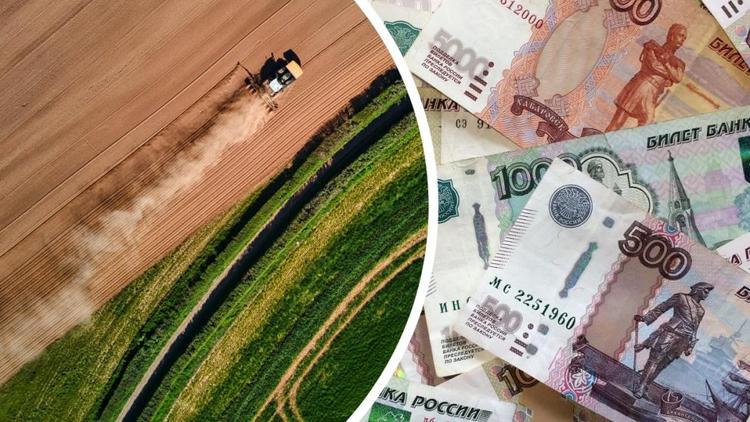 Ставрополье лидирует по освоению средств господдержки в АПК