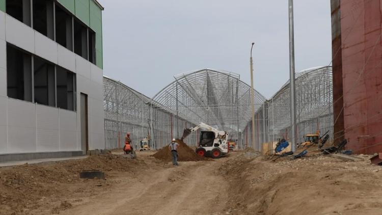 Министр сельского хозяйства Ставрополья совершил рабочую поездку в Советский округ