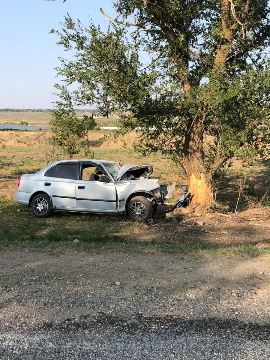 В аварии на Ставрополье автолюлька спасла жизнь 9-месячной девочке |  Ставропольская правда