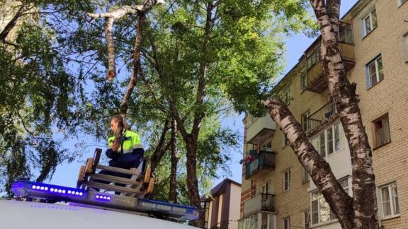 В Ставрополе экстренные службы переведены в режим повышенной готовности из-за сильного ветра