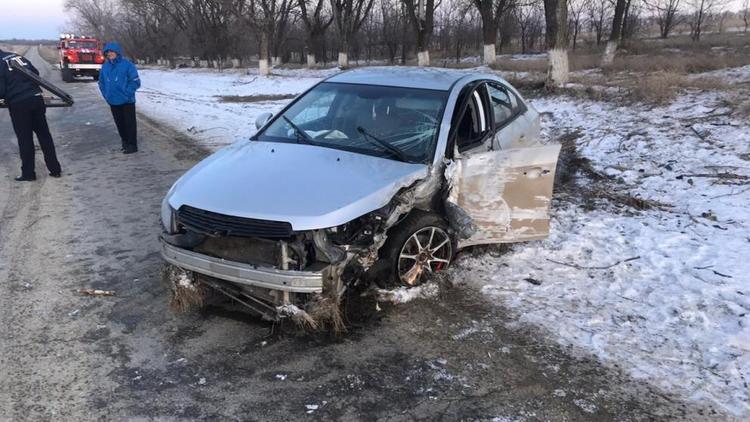 На Ставрополье автоледи пыталась спасти собаку и врезалась в дерево