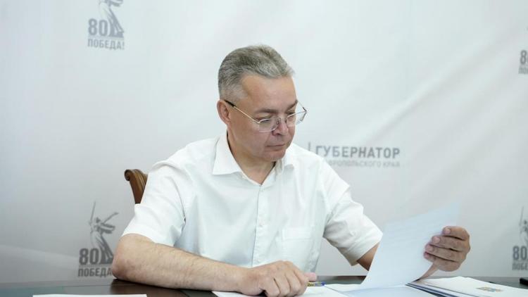 Губернатор Владимиров назвал приоритеты развития энергоснабжения на Ставрополье
