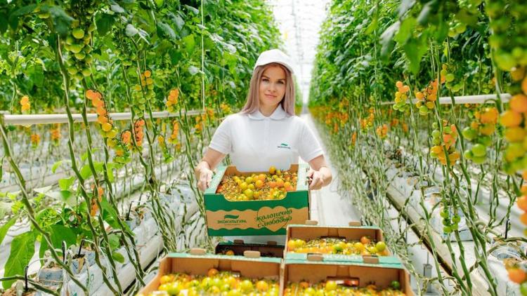 На Ставрополье назвали самые востребованные профессии