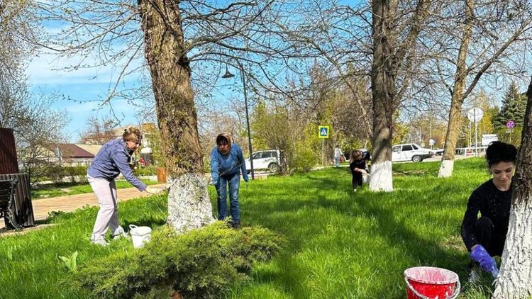 В Апанасенковском округе массово проходят субботники