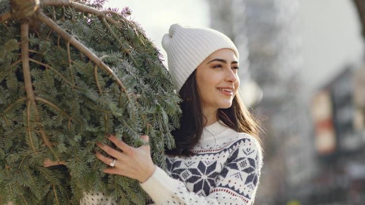 Россельхозцентр Ставрополья: новогодняя елка может стать хорошим удобрением на даче