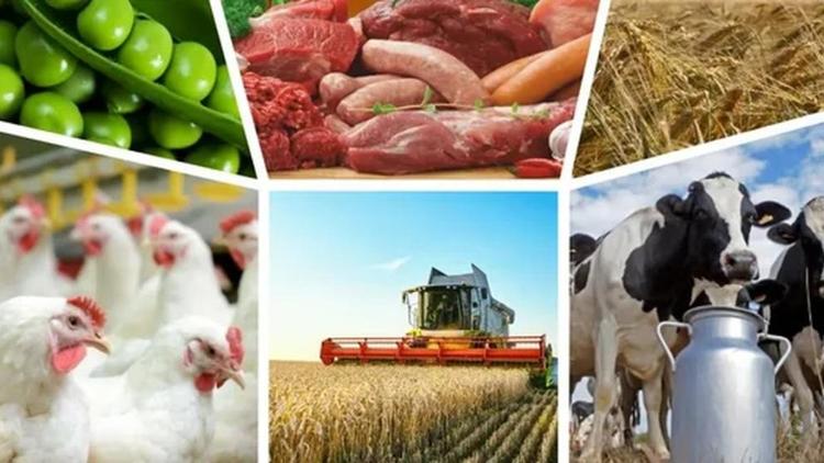 Четверть экспорта пищевой продукции Ставрополья пришлось на Китай