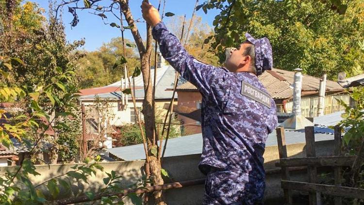 В Кисловодске благоустроили двор труженице тыла