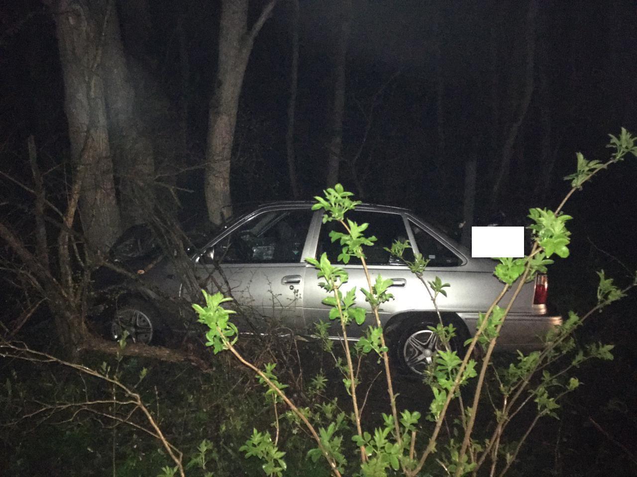 В Ставропольском крае автоледи на высокой скорости врезалась в дерево |  Ставропольская правда