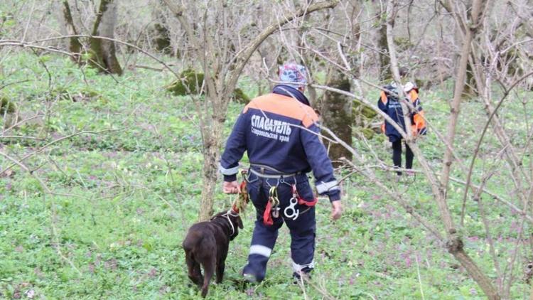 Заблудившаяся в лесу пьяная ставропольчанка вызвала на помощь спасателей