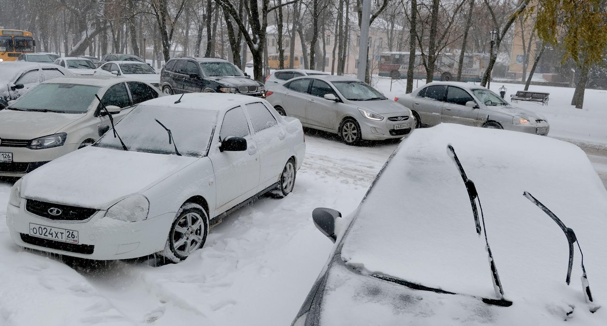 В феврале корейские автомобили подешевели за счёт параллельного импорта |  Ставропольская правда